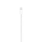 Lightning to USB Cable (2 m)