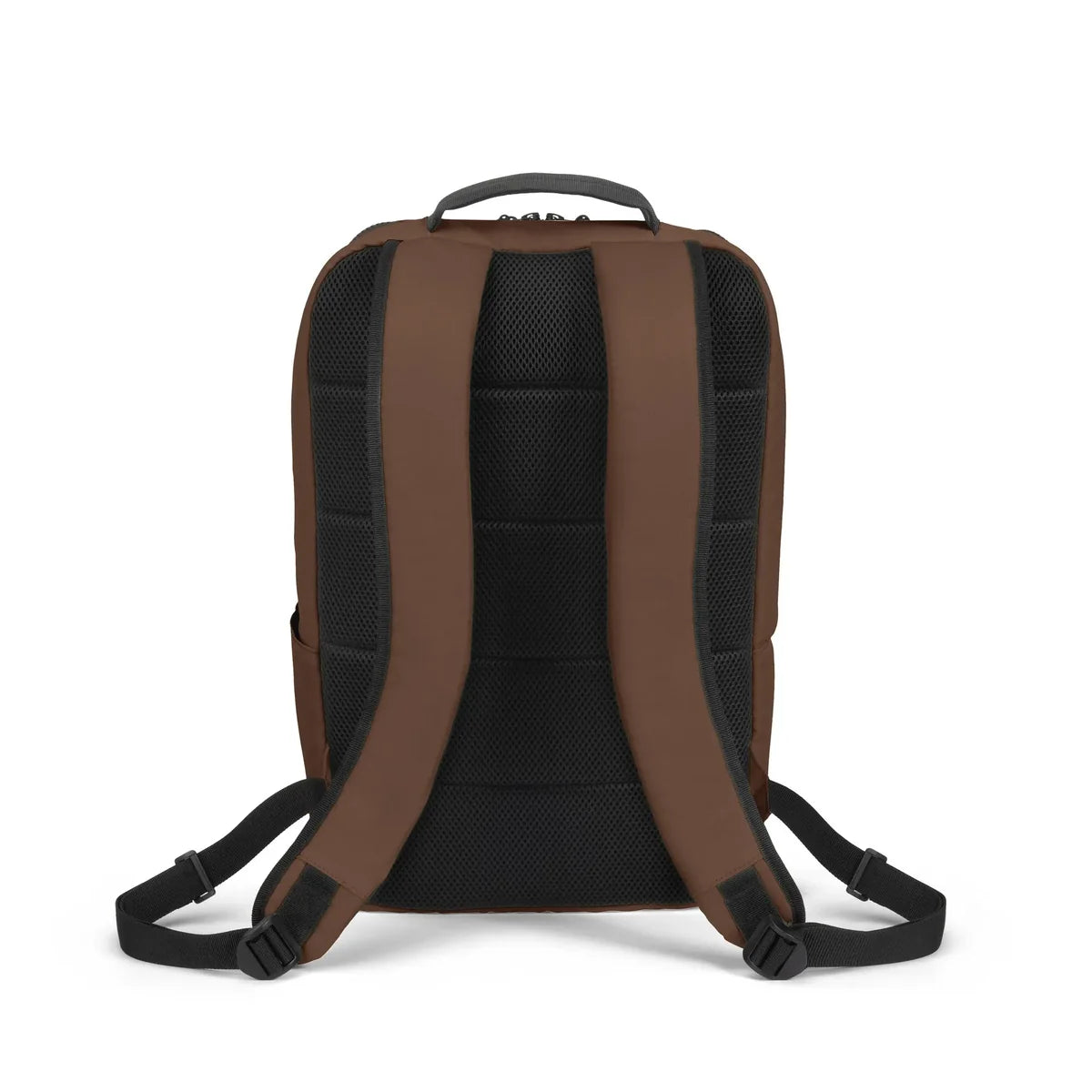 The back view of a brown and black backpack, showing the padded mesh backrest, shoulder straps, and top carry handle against a plain white background.