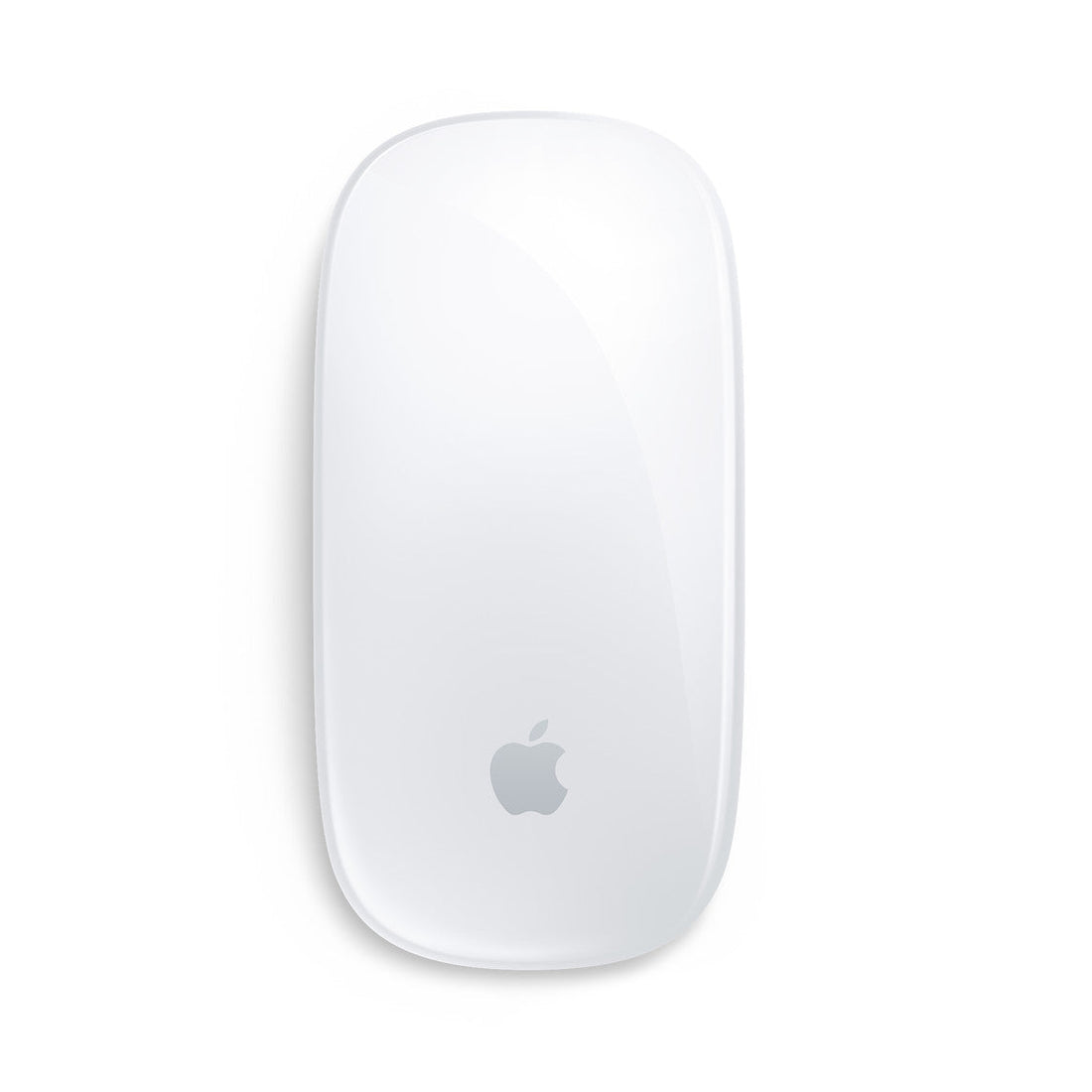 Magic Mouse - Multi-Touch Surface - (USB‑C)