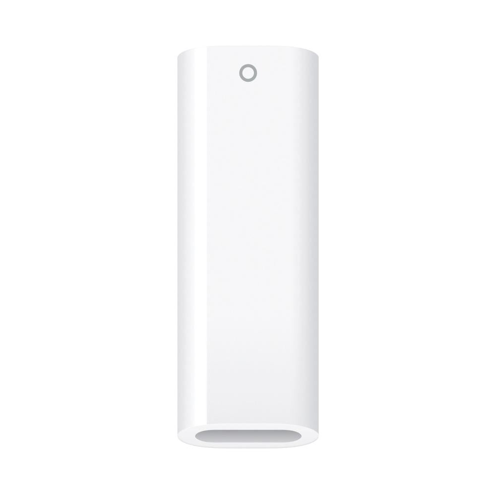 Apple Pencil (1st Generation)