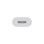USB-C to Lightning Adapter
