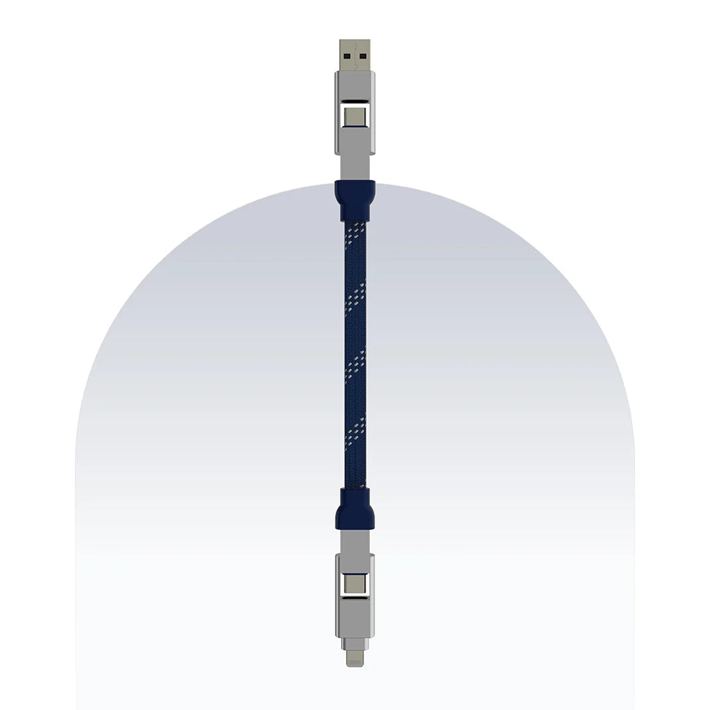 4 in 1 65W Payal Singhal Edition Cable 1 Ft