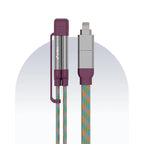 4 in 1 65W Payal Singhal Edition Cable 4 Ft