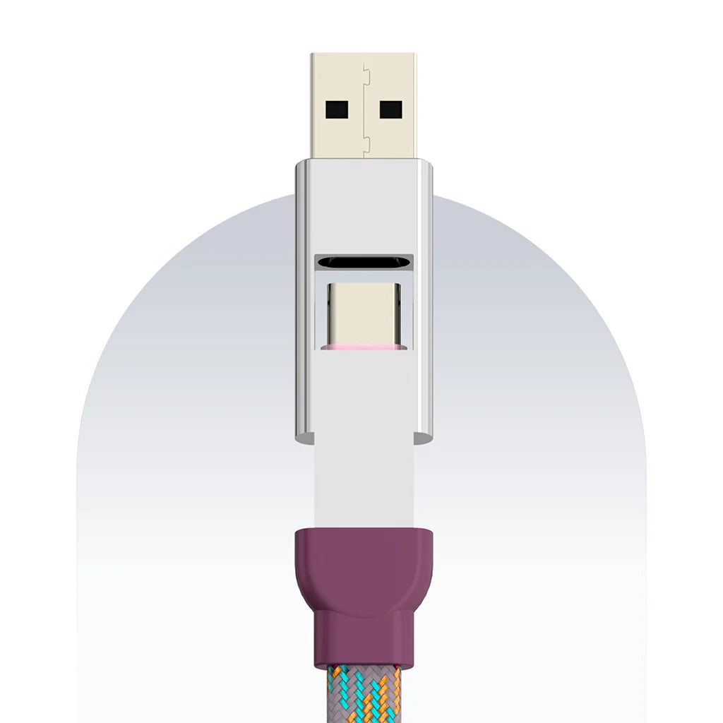 4 in 1 65W Payal Singhal Edition Cable 1 Ft