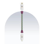 4 in 1 65W Payal Singhal Edition Cable 4 Ft
