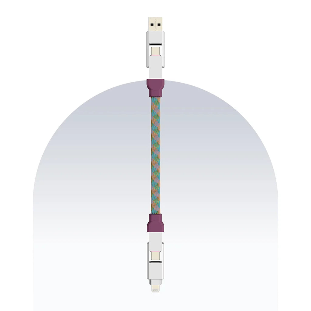 4 in 1 65W Payal Singhal Edition Cable 1 Ft