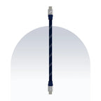 Type C to Type C 65W Payal Singhal Edition Cable